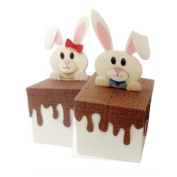 caixa coelho chocolate derrete: Encante com Presentes Personalizados!"